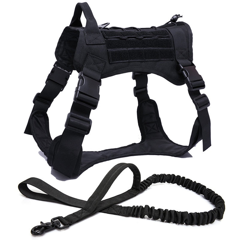 Taktisches Hundegeschirr Military MOLLE – 1000D Nylon, 4 Farben, M/L/XL, auch als Set mit Leine