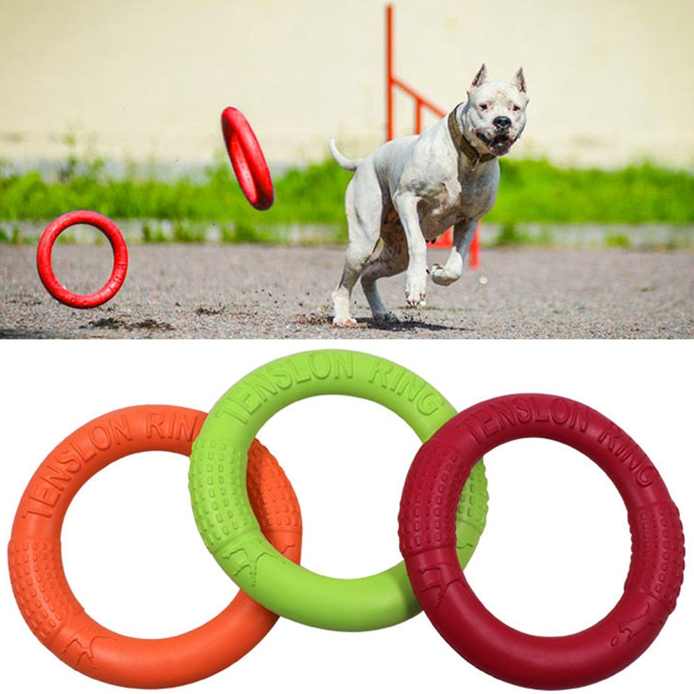 Hundefrisbee aus Gummi – Wurfscheibe für Outdoor-Training