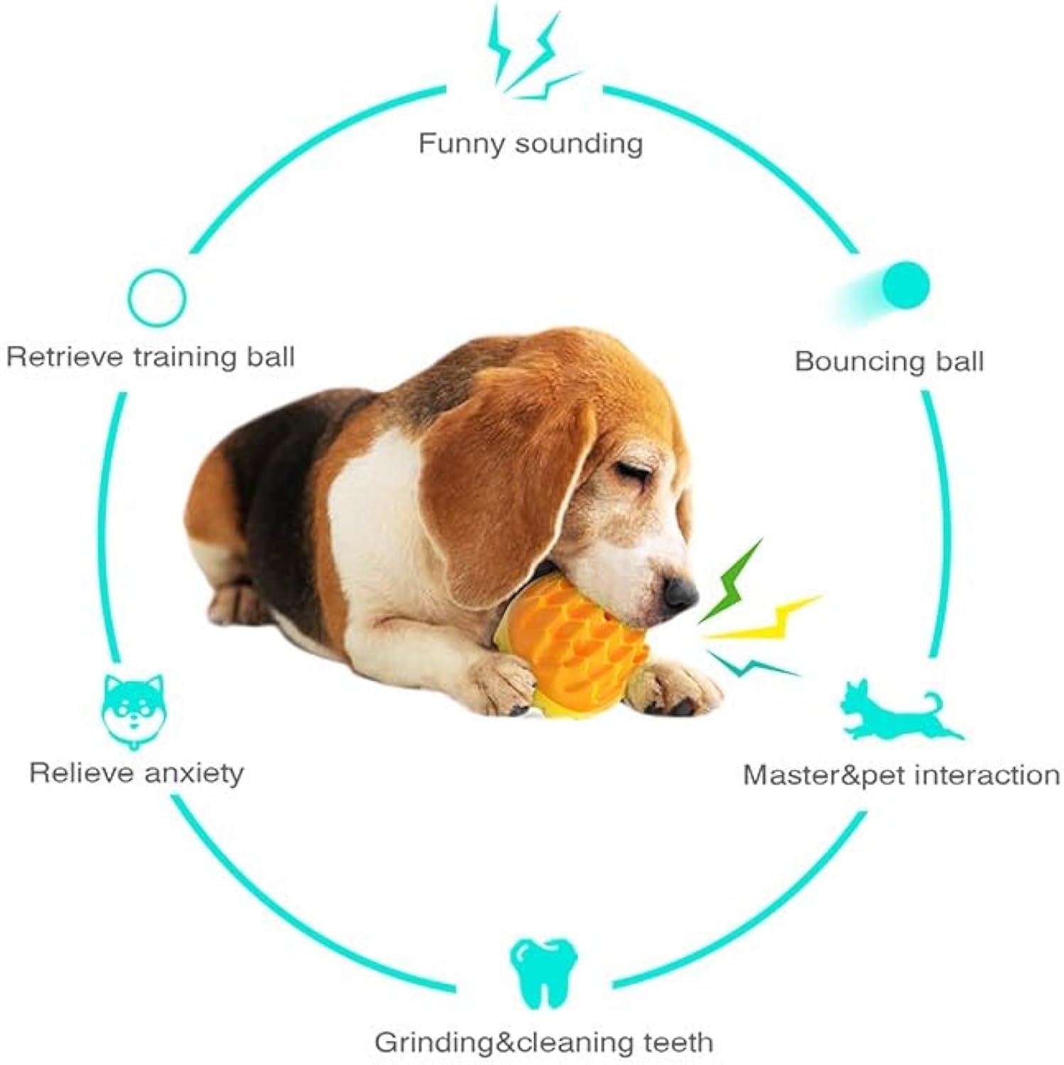 Quietschball für Hunde – Zahnpflege & Kauball aus Gummi