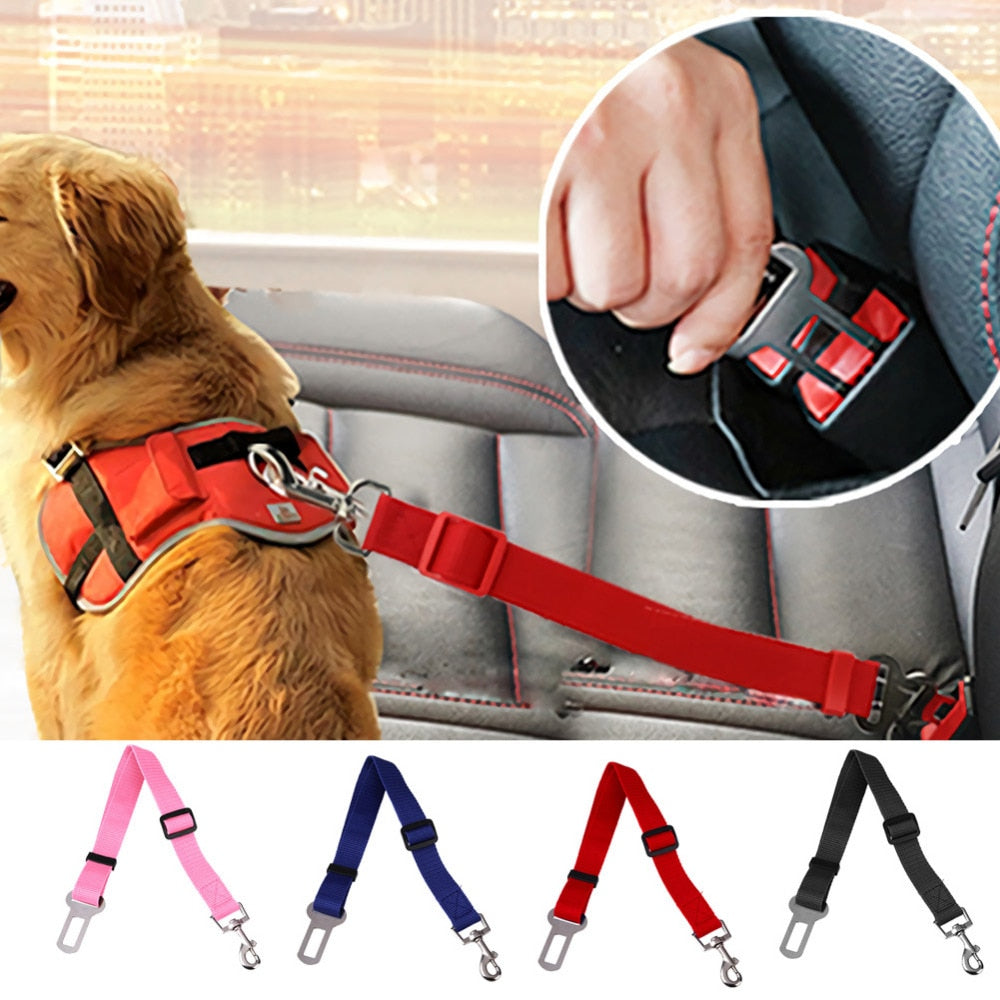 Hunde-Autosicherheitsgurt – verstellbar 43–70 cm, 4 Farben