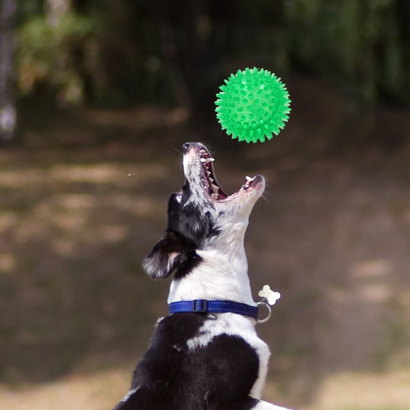 TPR Stachelball – Quietsch- & Zahnpflege-Spielzeug für Hunde, 6,5 cm