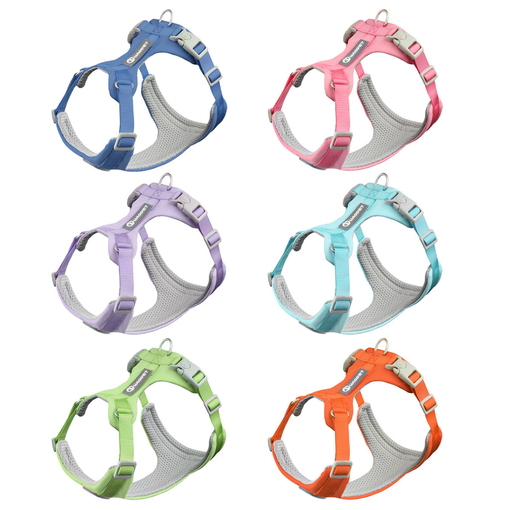 Hundegeschirr Set mit Leine – Atmungsaktiv, Reflektierend, Verstellbar, XS–L
