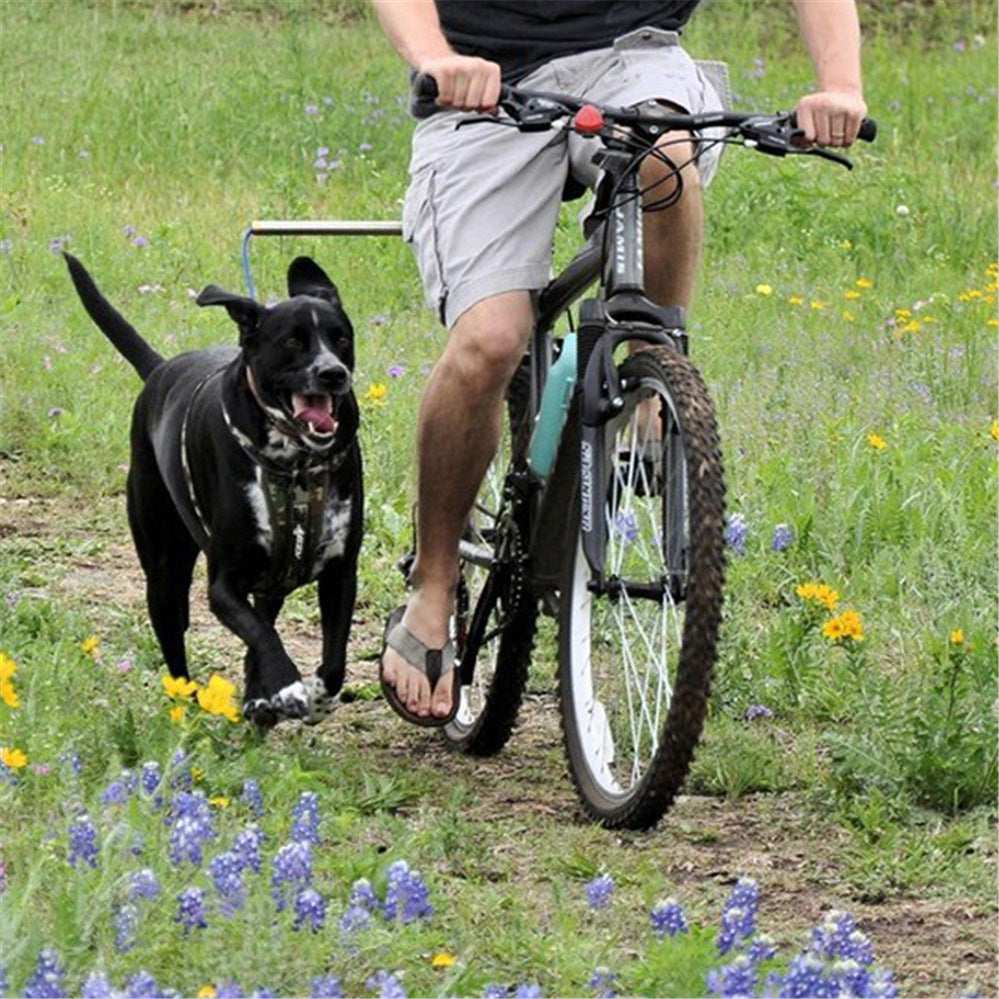 Fahrrad-Hundeleine für Hunde – sicheres Laufen neben dem Fahrrad
