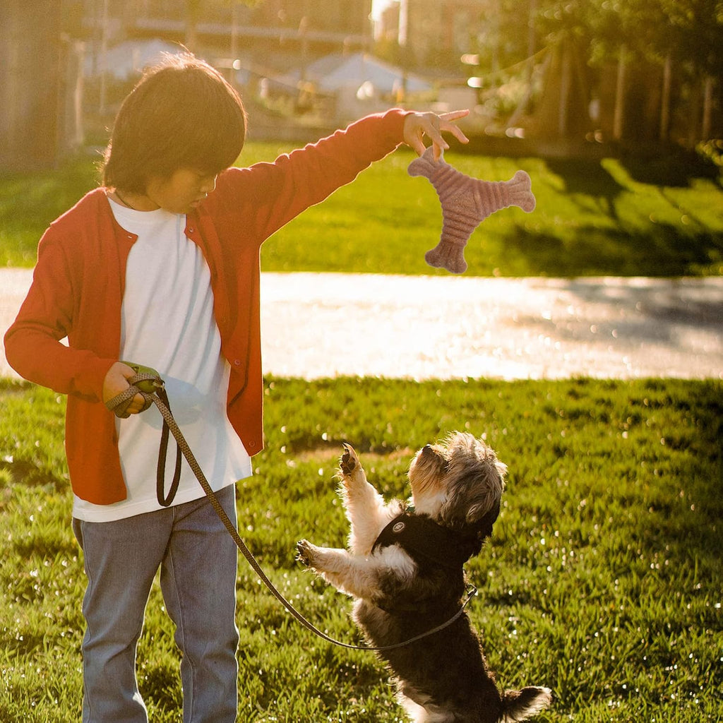 Nylon Kaustab für Hunde – Zahnpflege & Intelligenzspielzeug (3 Formen)