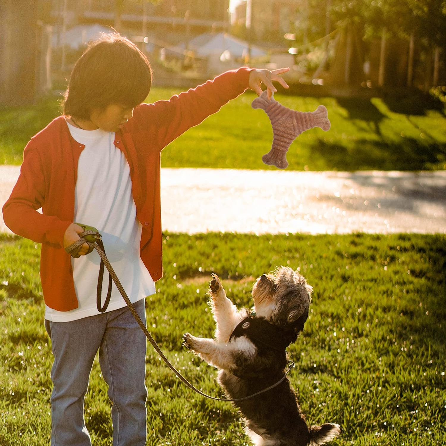 Nylon Kaustab für Hunde – Zahnpflege & Intelligenzspielzeug (3 Formen)