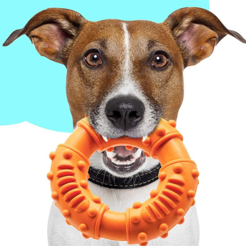 TPR Kauspielzeug für Hunde – bissfest, Zahnpflege & Molartraining