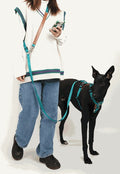 No-Pull Tactical Hundegeschirr - Nylon und PVC-Leder | 3 Farben | S-XL | Auch als Leine erhaeltlich