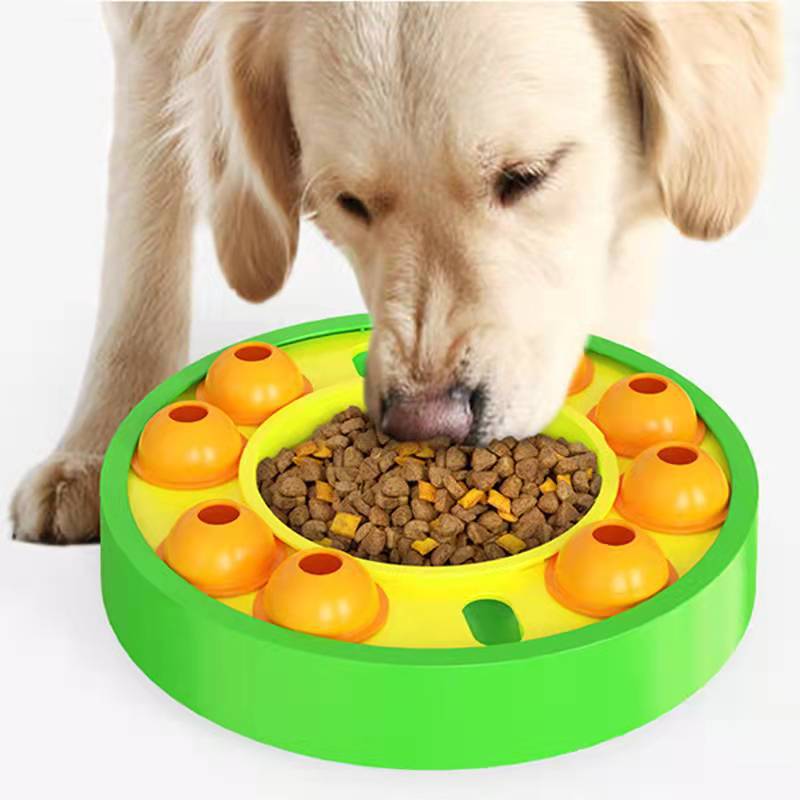 Interaktives Hunde-Intelligenzspielzeug mit Slow Feeder & Roulette – Grün / Blau