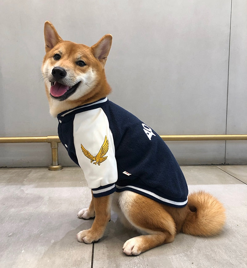 Hunde-Pullover Uni-Design | Weste für Bulldoggen & kleine Hunde | 100% Baumwolle