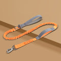 Reflektierende Hundeleine aus Nylon - 1,25 m | Gepolsterter Griff | 5 Farben | Sicher bei Nacht