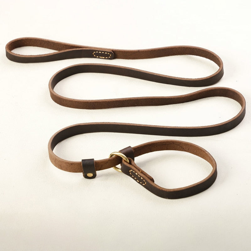 Echtleder-Hundeleine mit Slip-Collar – Braun, 180 cm