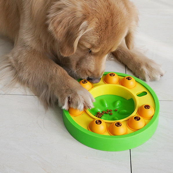 Interaktives Hunde-Intelligenzspielzeug mit Slow Feeder & Roulette – Grün / Blau