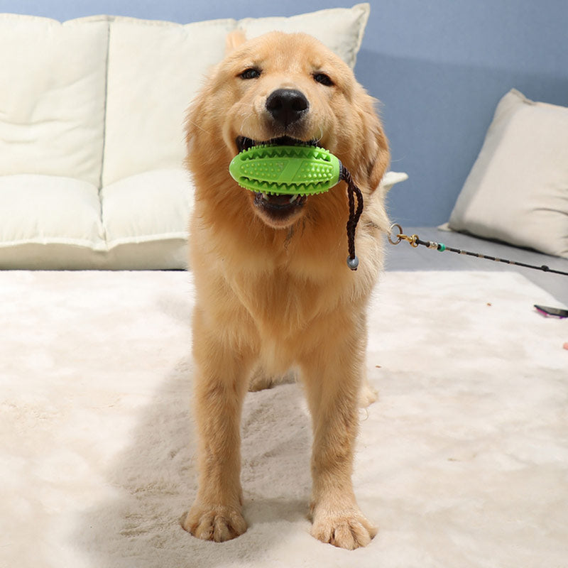 Hunde-Leckerli-Ball aus TPR | Bissfest | Zahnpflege | 5 Farben