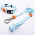 Bedruckte Hundeleine mit Halsband – Polyester, 4 Muster, Breiten XS–L
