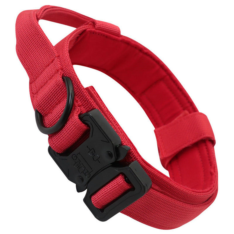 Taktisches Hundehalsband & Leine für Outdoor & Training – 8 Farben, M bis XL, auch als Set