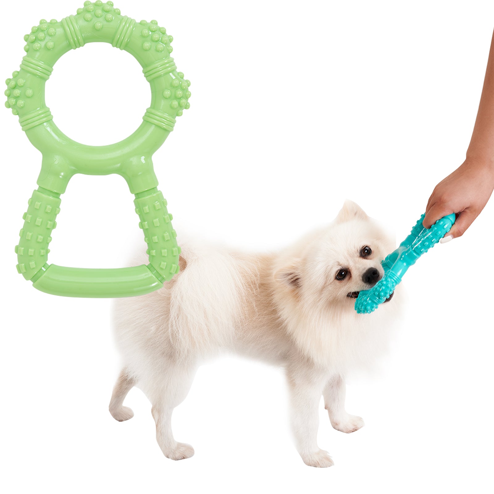 Interaktiver Zugring für Hunde – Tauziehen & Zahnpflege