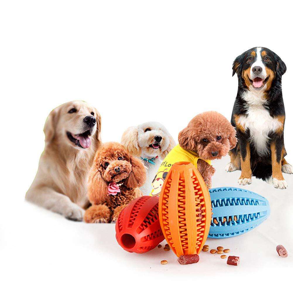 IQ-Leckerli-Ball fuer Hunde - TPR | Bissfest | Zahnpflege | 6 Farben | 2 Groessen