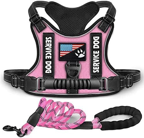 Reflektierendes Hundegeschirr mit Leine – stoßdämpfend, XS–XL