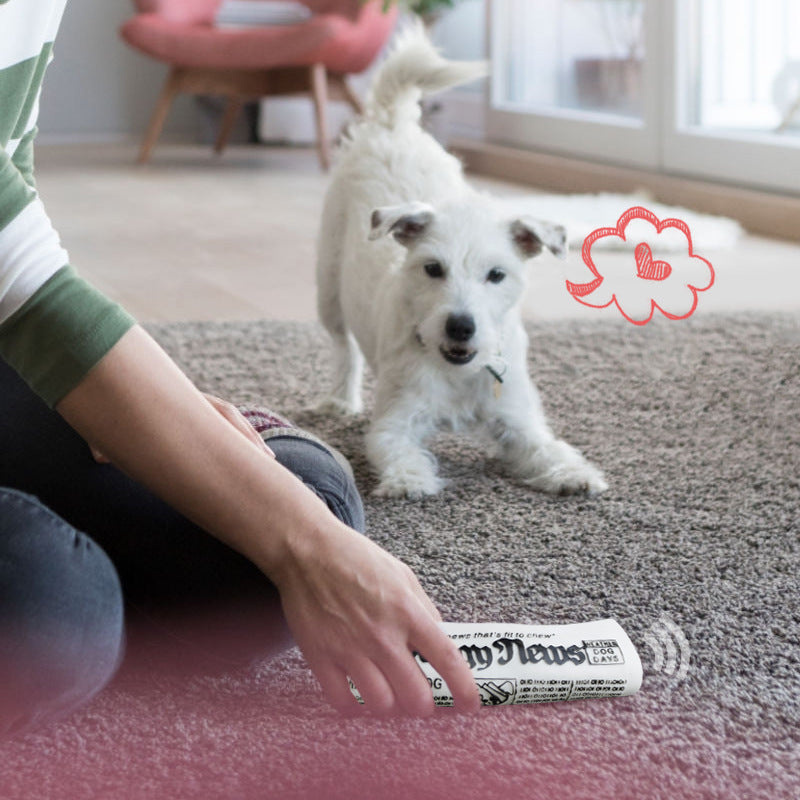 Quietschendes Zeitungs-Spielzeug für Hunde – Apport & Kauspaß