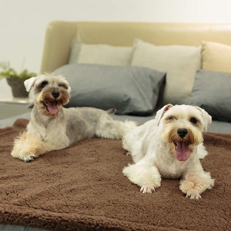 Plüsch-Hundematte & Sitzkissen – 3 Farben, XS–XL