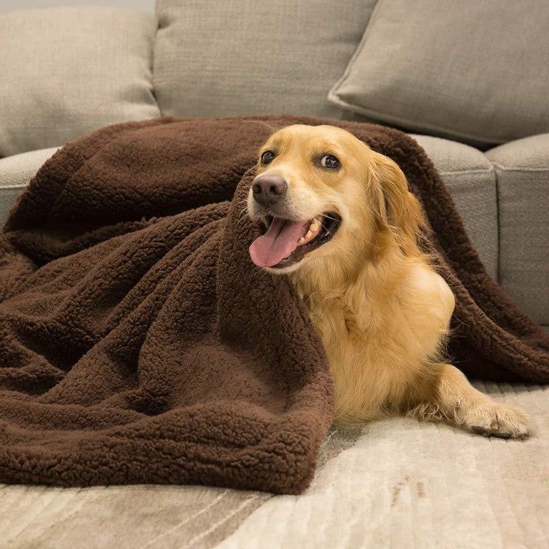 Plüsch-Hundematte & Sitzkissen – 3 Farben, XS–XL