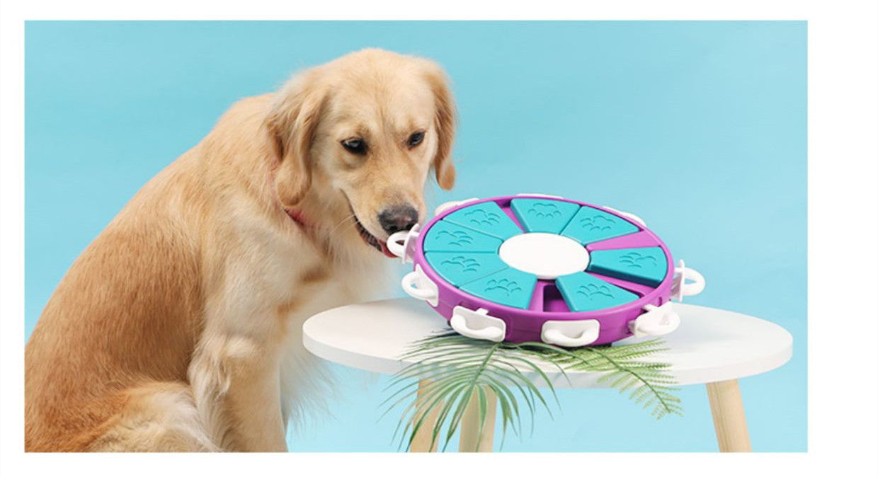 Intelligenz-Puzzle für Hunde – Futterspender, 9 Fächer & BPA-frei