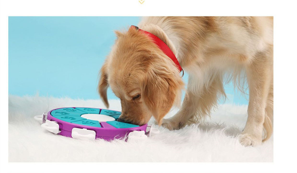 Intelligenz-Puzzle für Hunde – Futterspender, 9 Fächer & BPA-frei