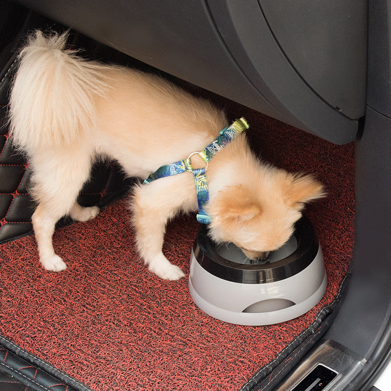Reise-Wassernapf für Hunde – spritzwassergeschützt, rutschfest & kein nasses Maul