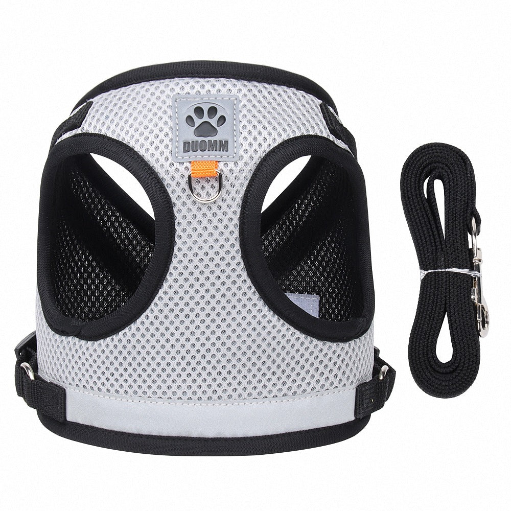 Hundegeschirr Weste mit Leine | Cord besticktes Design | 4 Farben | XS–XL