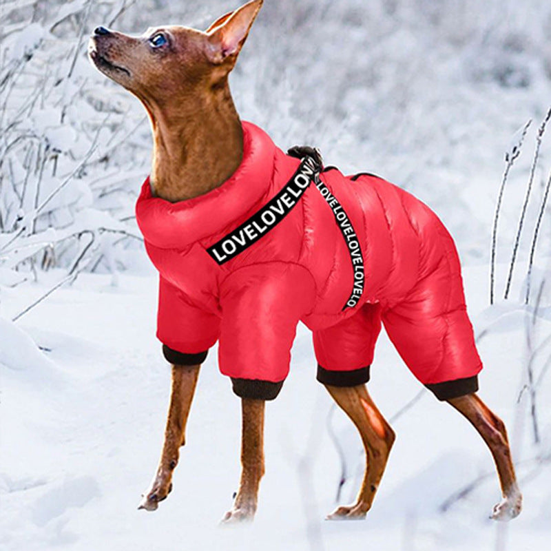 Winddichter Hundemantel – vierbeinig, warm & gefüttert, Größe 10–22