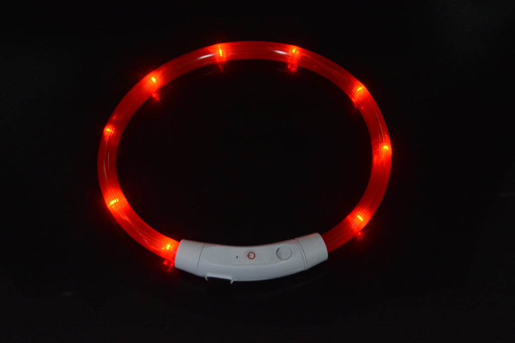 LED Leuchthalsband für Hunde – USB-aufladbar | Glasfaser oder LED-Perlen | 8 Farben | S–L