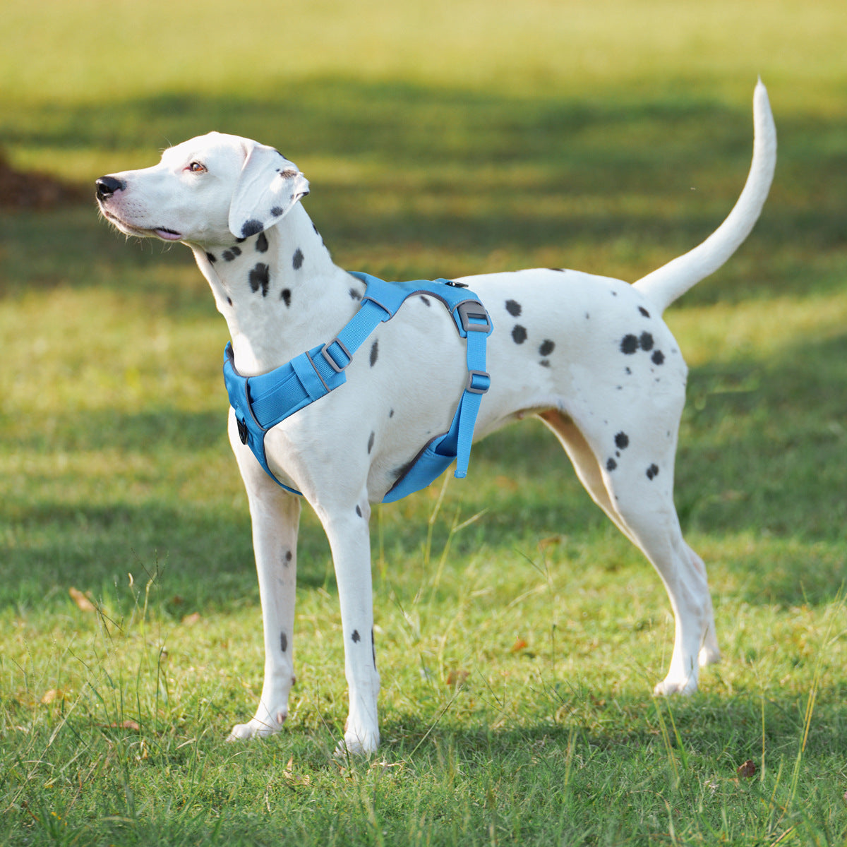 Hundegeschirr No-Pull 3M Reflektierend – Sicher, Bequem, XS–XL + Leine