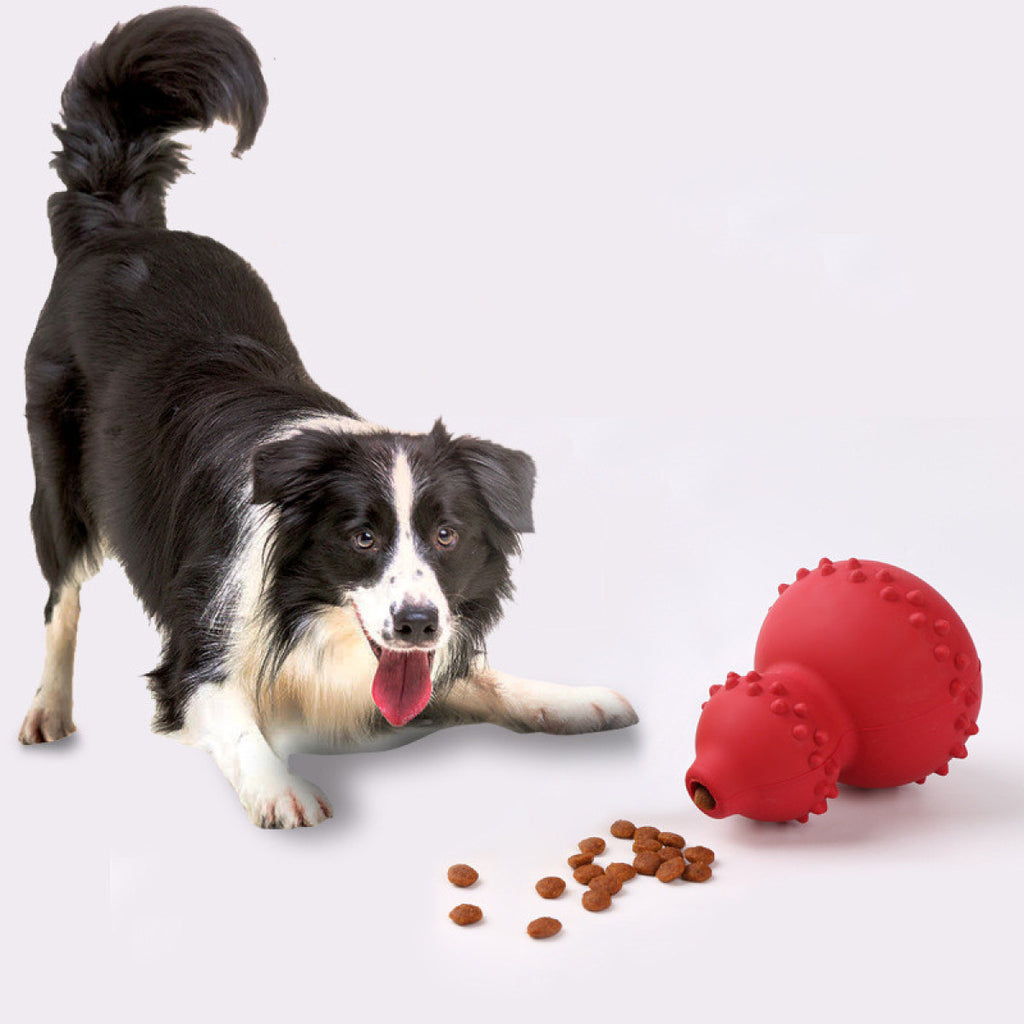 Kurbis-Schnueffelspielzeug fuer Hunde - Naturkautschuk | Slow Feeder | Erstickungssicher | 2 Farben