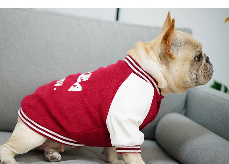 Hunde-Pullover Uni-Design | Weste für Bulldoggen & kleine Hunde | 100% Baumwolle