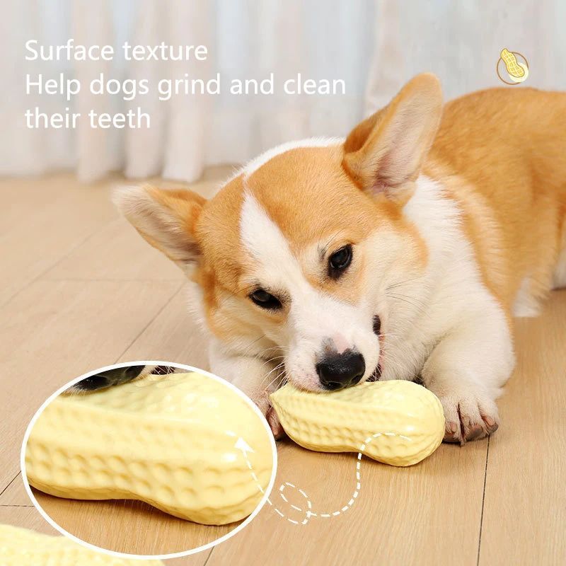 Elastisches Vinyl-Quietschspielzeug für kleine Hunde – Zahnpflege & Anti-Langeweile