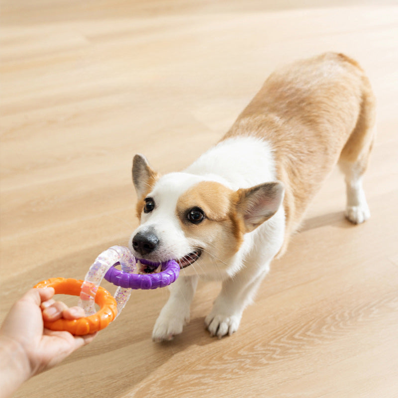 Schwimmender Frisbee-Ring für Hunde – Wasser- & Apportierspielzeug