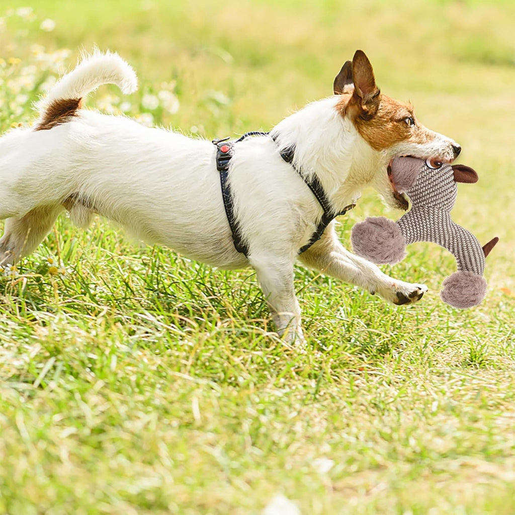 Plüsch-Quietschspielzeug für Hunde – Affe oder Welpe, weich & bissfest