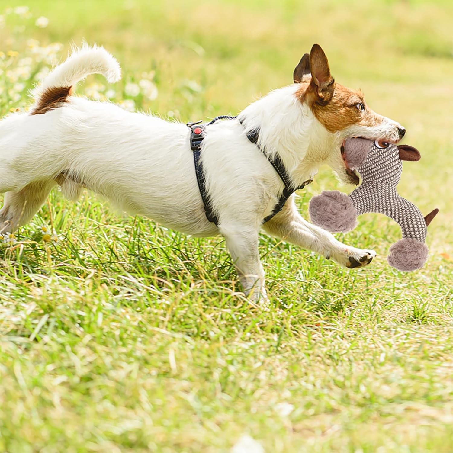 Plüsch-Quietschspielzeug für Hunde – Affe oder Welpe, weich & bissfest