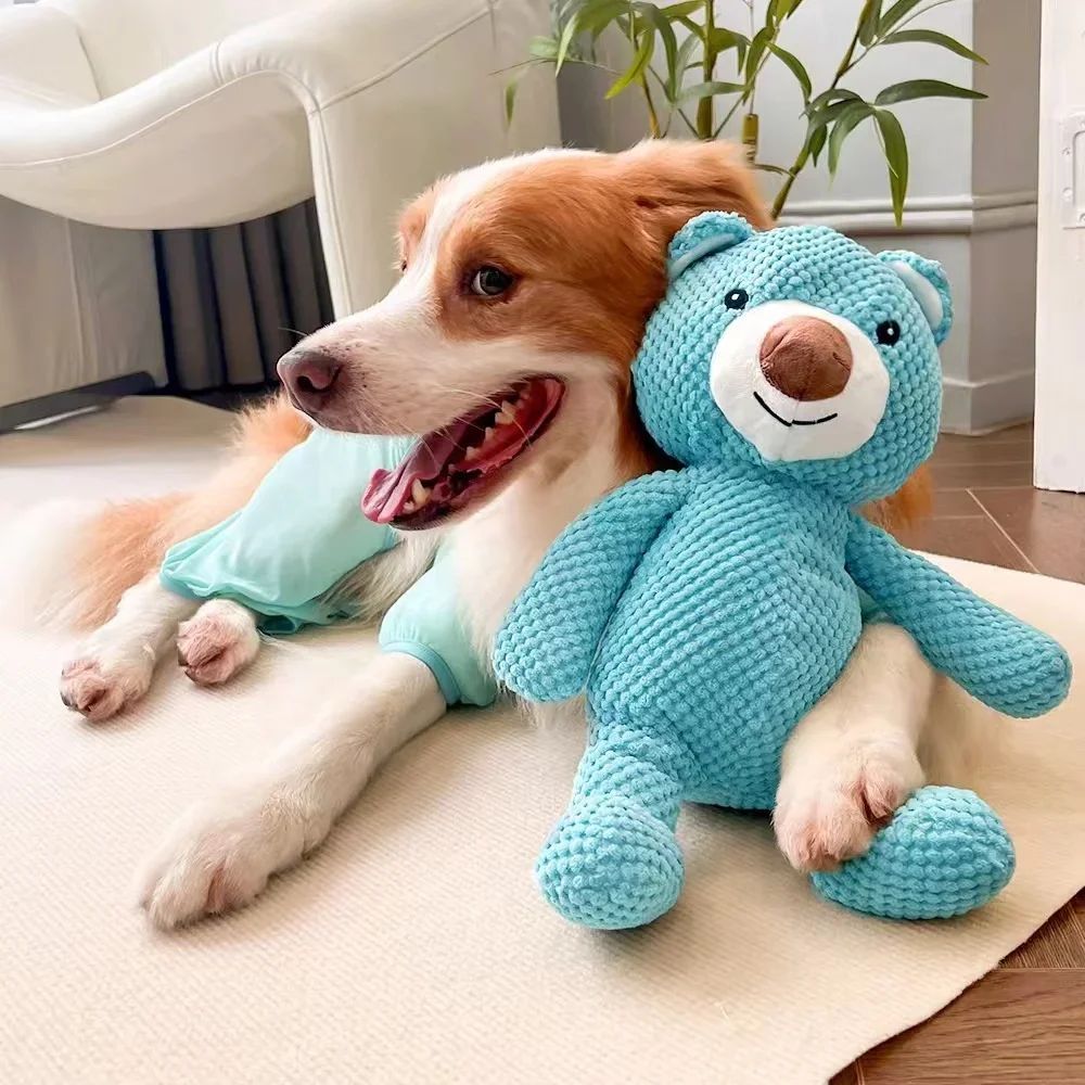 Plüsch Bär Quietschspielzeug für Hunde – Zahnpflege & Kauspielzeug (M & L)