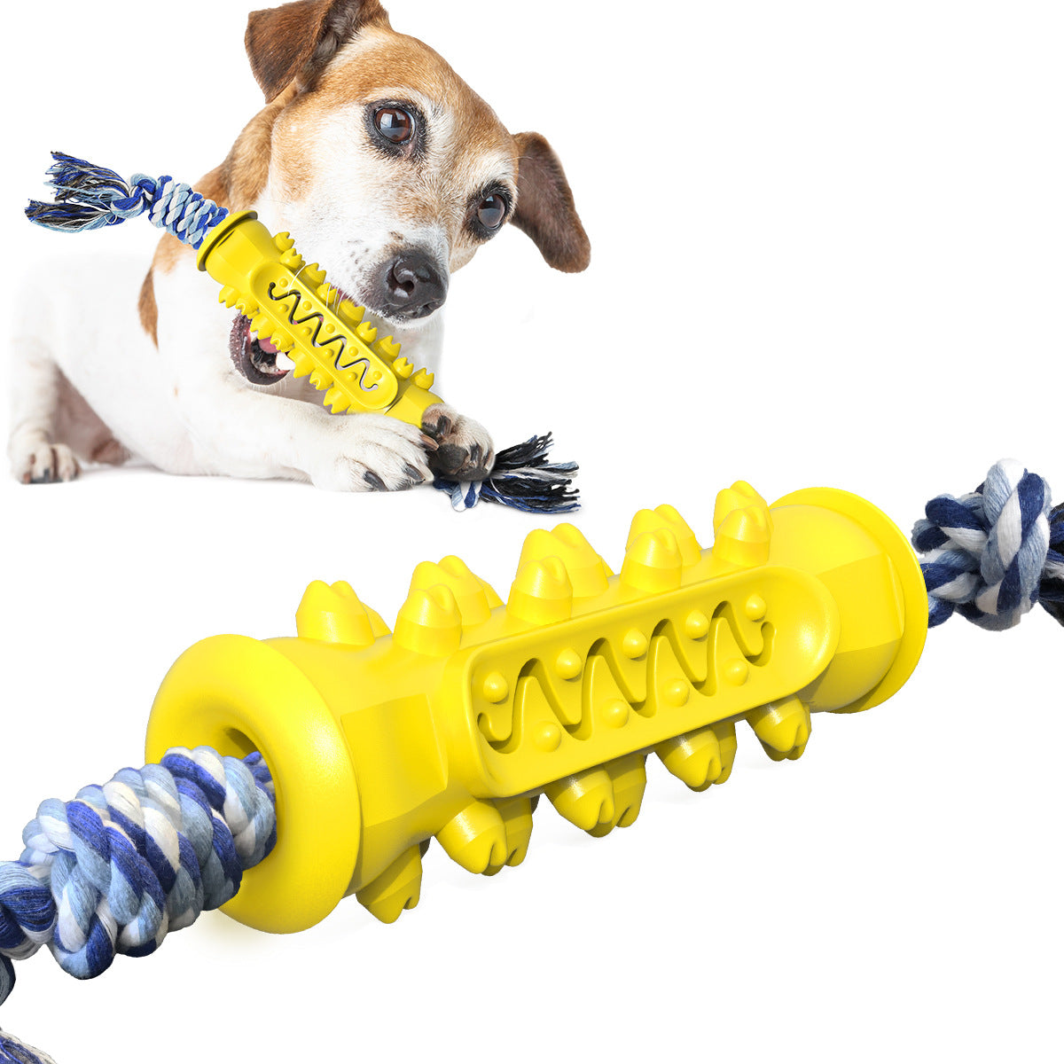 Kaustab mit Seil fuer Hunde - TPR | Bissfest | Zahnpflege | 3 Farben | Molarstick