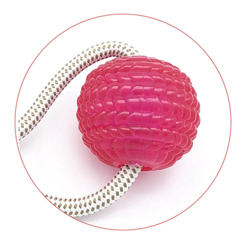 Saugnapf-Kauspielzeug mit TPR-Ball – interaktiv, Zahnreinigung, 3 Farben, 40×10cm