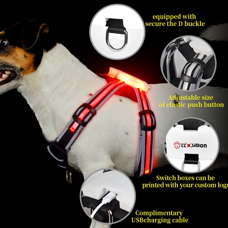 LED Hundegeschirr – 7 Farbwechsel, Leuchtend für Nachtspaziergänge, S–XXL