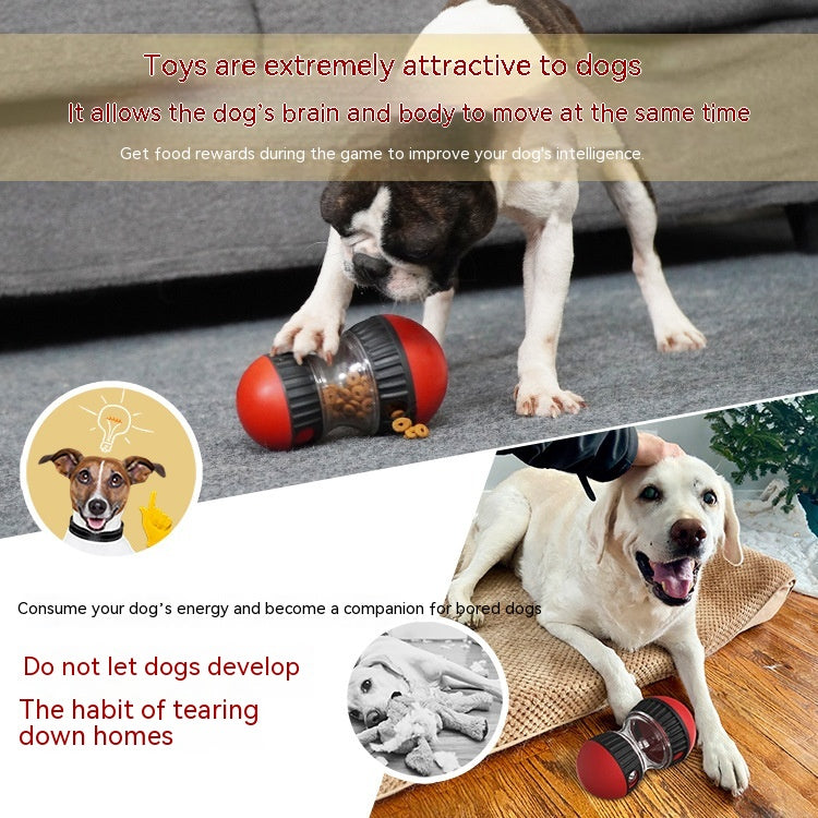 Futterball Tumbler für Hunde – Slow Feeder & Intelligenzspielzeug | Blau / Rot / Set
