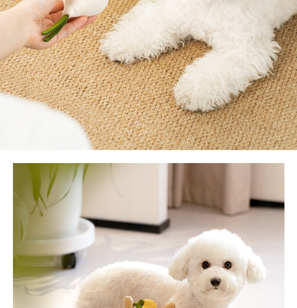 Obst & Gemüse Spielzeug-Set für Hunde – 6 Teile, Schnüffeln & Verstecken