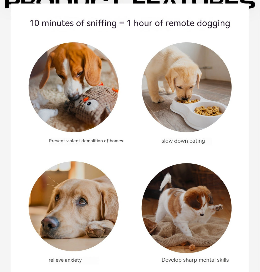 Obst & Gemüse Spielzeug-Set für Hunde – 6 Teile, Schnüffeln & Verstecken