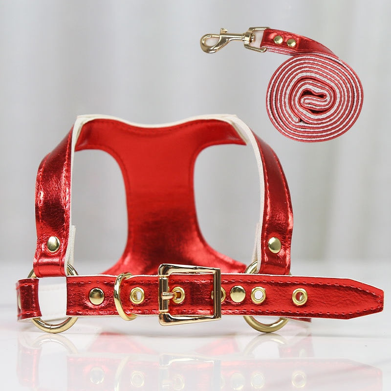 Hundegeschirr & Leine Set – Luxus PU-Leder für kleine Hunde