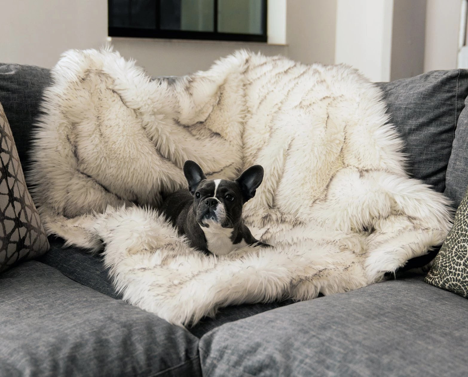 Premium Winter-Hundepad – extra dick & warm, 3 Designs, 153×127cm