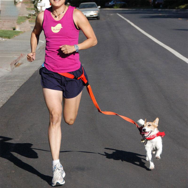 Hundeleine für Joggen & Spazieren | Nylon 110 cm verstellbar | 5 Farben
