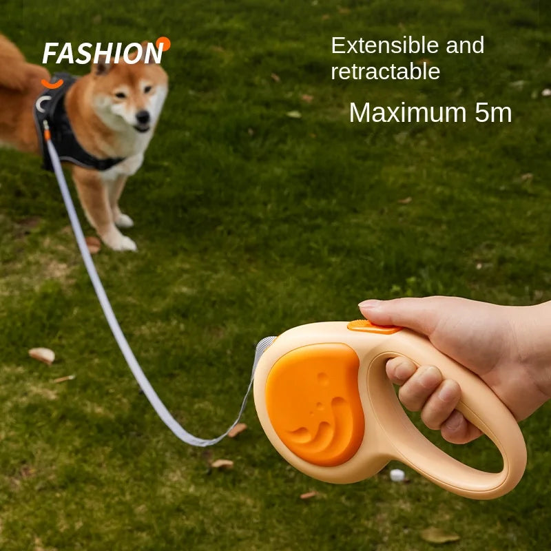 Einziehbare Hundeleine Nylon – automatisch, 3 m / 5 m, 3 Farben, für kleine & mittlere Hunde & Katzen