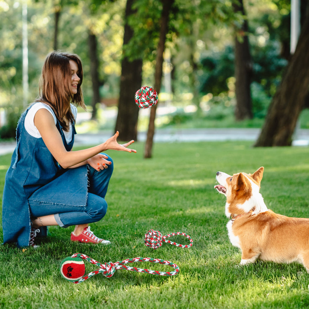 5er-Set Weihnachts-Seilspielzeug für Hunde – Kauen, Tauziehen & Zahnpflege